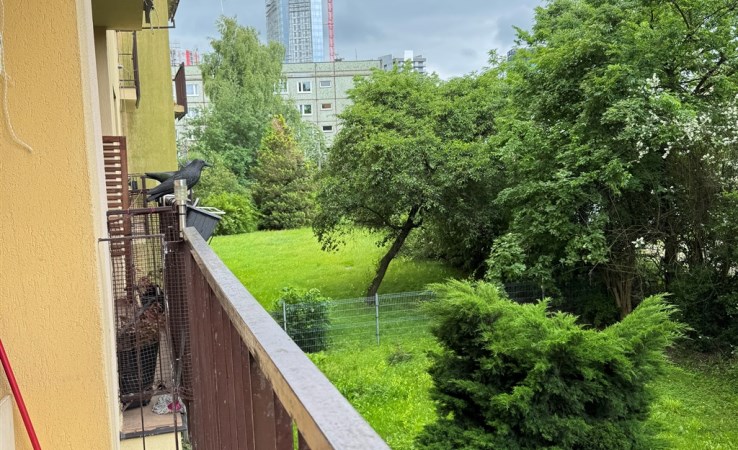 mieszkanie na sprzedaż - Katowice, Koszutka, Modrzewiowa