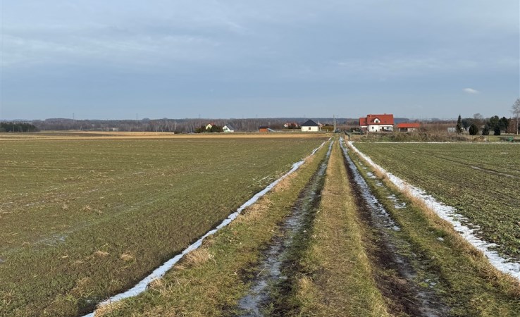 działka na sprzedaż - Zbrosławice, Przezchlebie, Zielona