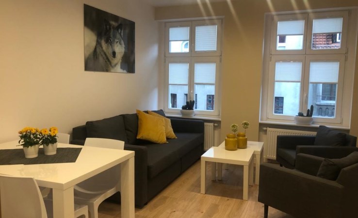 mieszkanie na wynajem - Katowice, Centrum, Plebiscytowa