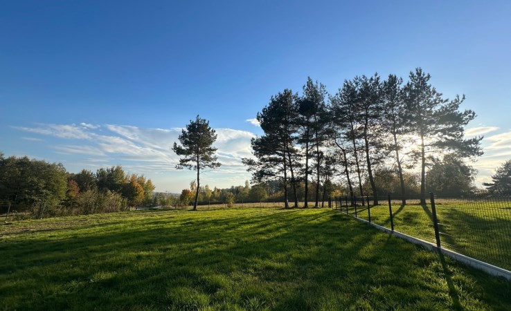 działka na sprzedaż - Mikołów, Wrzosowa